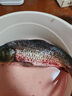 密農(nóng)人家 生態(tài)養(yǎng)殖新鮮鯉魚(yú) 肉質(zhì)鮮嫩鮮魚(yú) 生鮮 魚(yú)類(lèi)1kg冰鮮發(fā)貨 曬單實(shí)拍圖