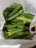 新鮮現(xiàn)摘水果秋葵清脆爽口蔬菜黃秋葵產(chǎn)地直發(fā)鮮嫩羊角豆涼拌菜 5斤裝一級果【現(xiàn)摘現(xiàn)發(fā)】 曬單實(shí)拍圖