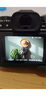 富士（FUJIFILM） XT系列 微單相機復古照相機 xt20 xs10 xt4  二手富士相機 富士X-T2 機身 顏色可參考質(zhì)檢報告 曬單實拍圖