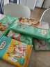 陶陶居中華老字號(hào)品牌 速凍生鮮包子食品方便早餐包點(diǎn)廣式早茶粵式點(diǎn)心 手工蝦餃*1袋 曬單實(shí)拍圖