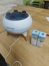 MAKYTWOW拾音水母加濕器小型七彩香薰機靜音遙控空氣加濕器聲控拾音臥室高顏值擺件家用室內(nèi)空調(diào)節(jié)日禮物 拾音水母香薰加濕器*精油*2*禮袋賀卡 曬單實拍圖