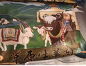 往來(lái)白丁 內(nèi)蒙古羊肉串牛肉串30串套餐450g凈重 新鮮羊肉生鮮火鍋燒烤食材 曬單實(shí)拍圖