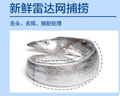 鮮京采 冷凍舟山帶魚段凈重3斤 精選中段三去處理 生鮮魚類源頭直發(fā)海鮮 曬單實(shí)拍圖
