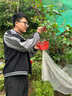 寶財(cái)羊運(yùn)動(dòng)休閑褲男春秋季寬松彈力中老年爸爸裝男士系帶直筒長(zhǎng)褲子 曬單實(shí)拍圖
