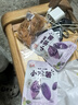 倉鼠行動正宗蘇州紙皮燒麥網(wǎng)紅早餐半成品速食早飯手工薄皮燒賣 【經(jīng)典口味】蛋黃味燒麥240g*2袋 曬單實(shí)拍圖