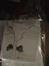 She's茜子輕簡迷你精致防走光扣胸針小眾設計外套胸花七夕禮物送女友 曬單實拍圖