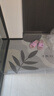 大江門口地墊可裁剪絲圈腳墊進(jìn)戶門地毯入戶門墊80x120cm 曬單實(shí)拍圖