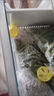 冰箱除味蛋強力除臭劑殺菌去除異味神器保鮮活性炭除菌吸附檸檬味 單盒裝/3個(gè)【一放異味消】 曬單實(shí)拍圖