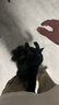 TAIGEPETS【可背 可提 可牽引】小香風狗包背包外出寵物小型犬便攜單肩貓包 粉色寵物包【可背 可提 可牽引】 M碼【建議8斤內狗10斤內貓】 曬單實拍圖
