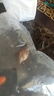 羅曼尼【2000W超大功率丨2億負(fù)離子護(hù)發(fā)】高速吹風(fēng)機(jī)家用靜音速干不傷發(fā)大風(fēng)力電吹風(fēng)發(fā)廊理發(fā)店專用風(fēng)筒 【皓月白-升級款】1800W大功率｜2億藍(lán)光負(fù)離子 【降噪靜音｜一鍵恒溫護(hù)發(fā)｜1.8米線長】 曬單實拍圖