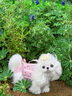 TAIGEPETS【可背 可提 可牽引】小香風狗包背包外出寵物小型犬便攜單肩貓包 粉色寵物包【可背 可提 可牽引】 S碼【建議5斤內狗7斤內貓】 曬單實拍圖