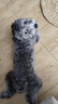 puppytie寵物用品狗狗牽引繩泰迪溜狗繩柯基可愛(ài)狗繩子可調(diào)節(jié)背心式 紅-胸背帶+牽引繩 XS-超小型建議 4-10斤 曬單實(shí)拍圖