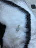 六福珠寶光面圓珠翡翠手串男士10.5-11mm翡翠玉石手鏈 F21J0004DS總重39.11克 曬單實拍圖