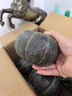 京鮮生 內(nèi)蒙精品貝貝南瓜凈重4.5斤單果300g+ 品種:貝栗 糖10°源頭直發(fā) 曬單實(shí)拍圖