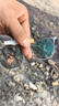 科洛德近視眼鏡眉線框架男女可配度數(shù)防藍光散光變色純鈦理工男防霧眼睛 冰川灰 配科洛德1.60防藍光+變色鏡片 曬單實拍圖