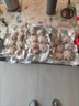 新鮮八爪魚迷你小章魚鮮活冷凍短腿章魚足小八爪 500g /袋 500克(凈重)  鮮凍小八爪【3斤】 曬單實拍圖