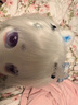 拉迪圖k系獸頭成品獸裝原創(chuàng)獸頭kig洛麗塔定制頭套可愛穿戴cos耳朵兒童 詢問老師高級定制款 曬單實拍圖