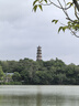 科愛元素玉石大面包 電動(dòng)經(jīng)絡(luò)刷負(fù)壓真空刮痧儀器吸痧儀家用走罐拔罐神器 曬單實(shí)拍圖