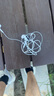 Apple/蘋果 EarPods (閃電接頭) 原裝有線耳機 麥克風(fēng) K 歌 手機耳機 曬單實拍圖
