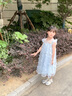 迪士尼艾莎公主裙女童連衣裙2025夏季新款甜美兒童網(wǎng)紗裙碎花禮服裙子 藍(lán)色 （艾莎公主） 120 曬單實拍圖