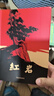【自營正版】紅巖 2025新版 紅巖京東自營官方旗艦店紅巖 2025新版 紅巖京東自營官方旗艦店人民教育出版社八年級下冊人教版  紅巖人教版京東自營官方旗艦店 【單本】紅巖京東自營官方旗艦店 曬單實(shí)拍圖