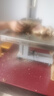 冰仕特商用鋸骨機(jī)大功率大型強(qiáng)勁切骨機(jī)全自動切割牛羊大骨頭魚豬蹄排骨凍肉機(jī)小型家用電動鋸肉機(jī)剁骨機(jī) BST-250【標(biāo)準(zhǔn)款+冷鮮兩用+滑臺】碳鋼機(jī)身 曬單實拍圖