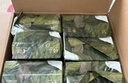 babycare金山茶花紙尿褲M50片*2包(6-11kg)嬰兒尿不濕超薄透氣輕柔花苞褲 曬單實(shí)拍圖