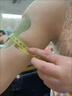 南京同仁堂快速瘦去手臂大粗胳膊細蝴蝶減拜拜肉告別麒麟臂美女神燃脂貼 買三贈二 曬單實拍圖