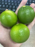 田果匠皮薄無籽檸檬（現(xiàn)摘現(xiàn)發(fā)）泰國品種青檸檬香水榨汁鮮果奶茶店專用 1斤 曬單實拍圖