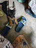 咯咪純種德牧幼犬狗狗活體弓背犬寵物狗幼崽德國(guó)牧羊犬黑背狼狗大型犬 公 曬單實(shí)拍圖