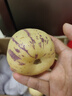 京鮮生 云南人參果 凈重3斤 單果100g+ 生鮮水果源頭直發(fā)包郵  曬單實拍圖
