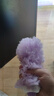 云蕾一次性靜電除塵撣短柄+10片紫替換布車(chē)用除塵雞毛撣子家用掃灰 曬單實(shí)拍圖
