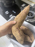 魯禧廣西新鮮紫薯 當(dāng)季精品紫薯地瓜 軟糯香甜健康輕食生鮮蔬菜 中果凈重4.5斤（單果150-400g） 曬單實拍圖