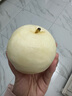 正宗河北皇冠梨 產(chǎn)地直發(fā) 現(xiàn)摘現(xiàn)發(fā) 脆甜多汁梨子整箱新鮮水果 皇冠梨凈重8.5斤 曬單實(shí)拍圖