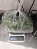 千牛優(yōu)福新鮮留蘭香薄荷葉250g-500g食用清涼茶烘焙點綴莫吉托調(diào)酒裝飾 500g 曬單實拍圖