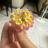 babycare寶寶洗頭神器兒童洗頭帽洗澡護(hù)耳防進(jìn)水可調(diào)節(jié)星航洗頭帽 柔霧藍(lán) 曬單實(shí)拍圖
