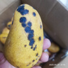 京喜加小臺農芒果新鮮小臺芒當季特產(chǎn)水果  輕微花皮半熟果發(fā)貨 小臺芒9斤單果70-100克 曬單實(shí)拍圖