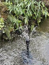 HASE太陽(yáng)能蓄電噴泉自動(dòng)魚(yú)池戶(hù)外魚(yú)缸假山循環(huán)水泵增氧小型蘑菇噴水器 【直驅版】10W太陽(yáng)能?chē)娙?曬單實(shí)拍圖