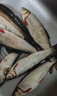 劉志強金袖子線(xiàn)雙鉤成品正品綁好魚(yú)鉤防纏無(wú)倒刺新關(guān)東袖鉤鯽魚(yú)鉤 金袖有刺60cm【鉤7+線(xiàn)1.2】 曬單實(shí)拍圖