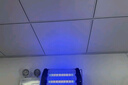 格林盈璐滅蚊燈家用商用滅蠅燈餐廳賓館酒店滅蚊子蒼蠅神器 曬單實拍圖
