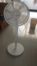 長(zhǎng)虹（CHANGHONG）電風(fēng)扇落地扇家用立式機(jī)械電扇臺(tái)扇搖頭電扇空氣循環(huán)風(fēng)扇CFS-LD3016T 曬單實(shí)拍圖