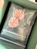 Qlady小雛菊花朵耳釘女氣質(zhì)高級感耳環(huán)2025年輕奢小眾耳飾生日禮物 曬單實(shí)拍圖