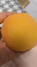 蒙陰黃桃【地標認證】毛桃脆甜水蜜桃子時令新鮮水果單果100g+ 5斤優(yōu)選裝丨泡沫托丨凈重4.5斤 曬單實拍圖