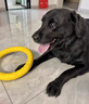 OYKTN寵物狗玩具訓(xùn)狗犬拉環(huán)耐咬柯基邊牧金毛拉布拉多中大型犬互動圓環(huán) 小拉環(huán)兩個(加粗3cm)黃色 曬單實拍圖