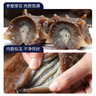 鮮出動(dòng)大連即食海參刺參深海遼刺參海參干貨13-17頭 凈重500g 曬單實(shí)拍圖