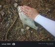 名犀路亞假餌遠投翹殺單鉤鐵板飄落vib亮片鐵板翹嘴鱖魚(yú)鱸魚(yú)通殺套裝 15克五只套裝 曬單實(shí)拍圖