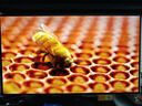 LG 32GS95UV 黑 31.5英寸 Ultra OLED 4K顯示器 雙模4K240Hz/1K480Hz  內(nèi)置音箱 防眩光 電競顯示屏 曬單實(shí)拍圖