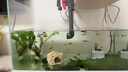 松寶（sobo）魚缸潛水泵魚缸過(guò)濾器循環(huán)泵水族箱抽水泵氧氣泵 AQ-1000款15W 曬單實(shí)拍圖