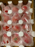 京鮮生 山東普羅旺斯番茄 凈重4.5斤 單果125g+ 沙瓤西紅柿 源頭直發(fā) 曬單實拍圖