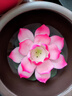 變色茶寵多色蓮花禪意擺件純手工捏花可養(yǎng)插香功夫茶具香道配件 牡丹蓮花-粉色 曬單實拍圖